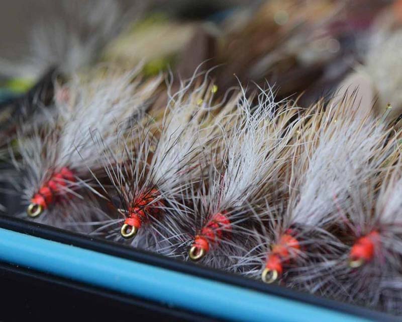 Crafting Your Fly Box Course Deal